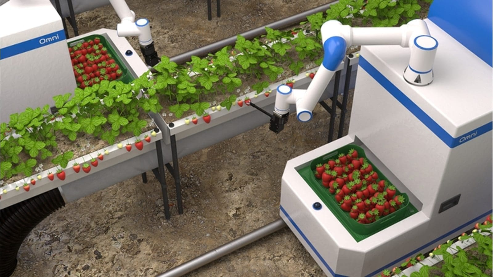 South Korean agri-robotics startup secures over US$2M for AI farm robot ...